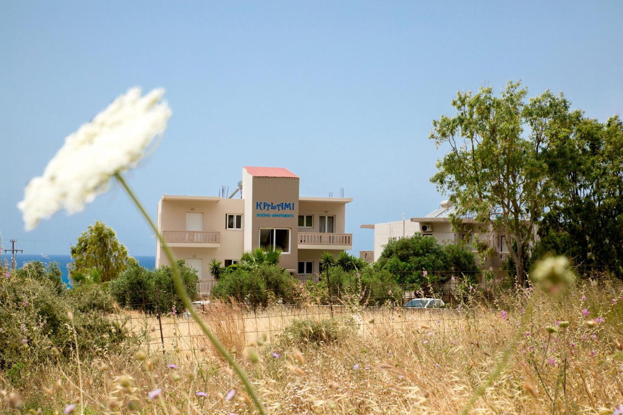 Apartment Kalami Falasarna